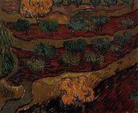 Gogh, Vincent van - Olive Trees against a Slope of a Hill